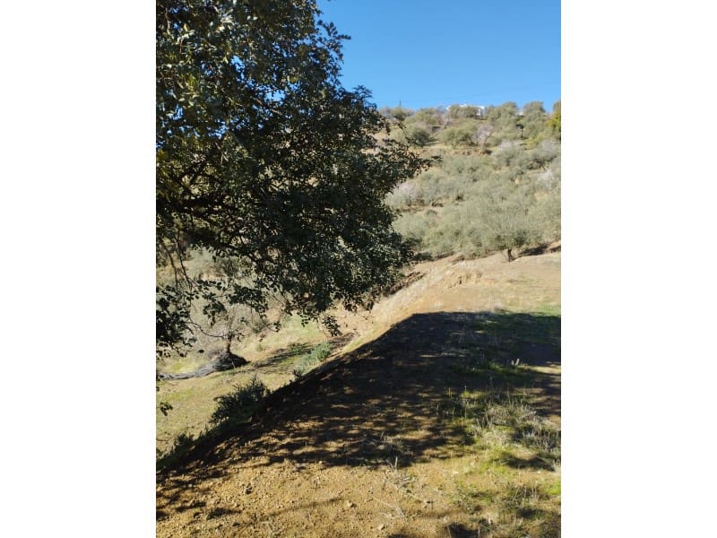 Finca/Country House for sale in Riogordo - € 40,000 (Ref: 7369650)