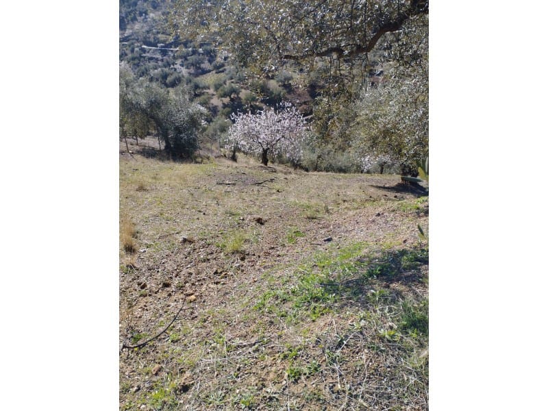 Finca/Country House for sale in Riogordo - € 40,000 (Ref: 7369650)