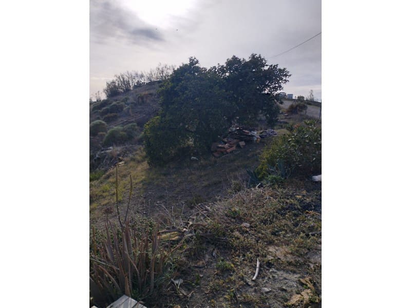 1 bedroom Finca/Country House for sale in Canillas de Aceituno - € 99,000 (Ref: 7494970)