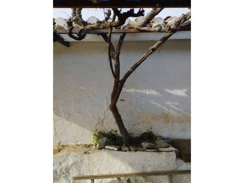 1 bedroom Finca/Country House for sale in Canillas de Aceituno - € 99,000 (Ref: 7494970)