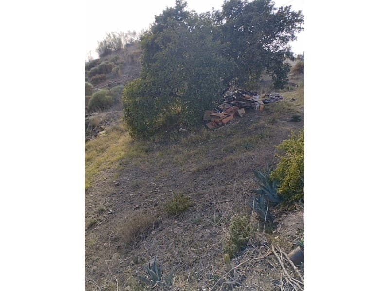 1 bedroom Finca/Country House for sale in Canillas de Aceituno - € 99,000 (Ref: 7494970)