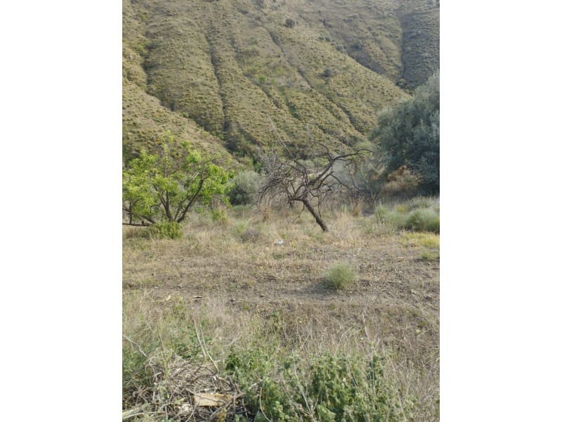 1 bedroom Finca/Country House for sale in Canillas de Aceituno - € 99,000 (Ref: 7494970)