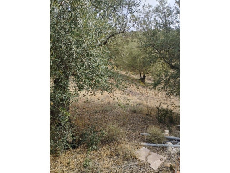 Finka/Dom wiejski na sprzedaż w Riogordo - 65 000 € (Ref: 7681816)