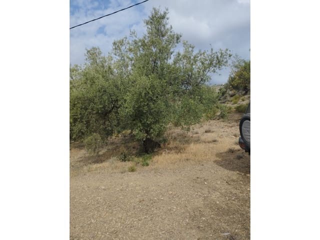 Finka/Dom wiejski na sprzedaż w Riogordo - 65 000 € (Ref: 7681816)