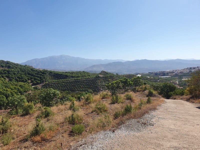 3 chambre Finca/Maison de Campagne à vendre à Iznate - 159 900 € (Ref: 7726790)