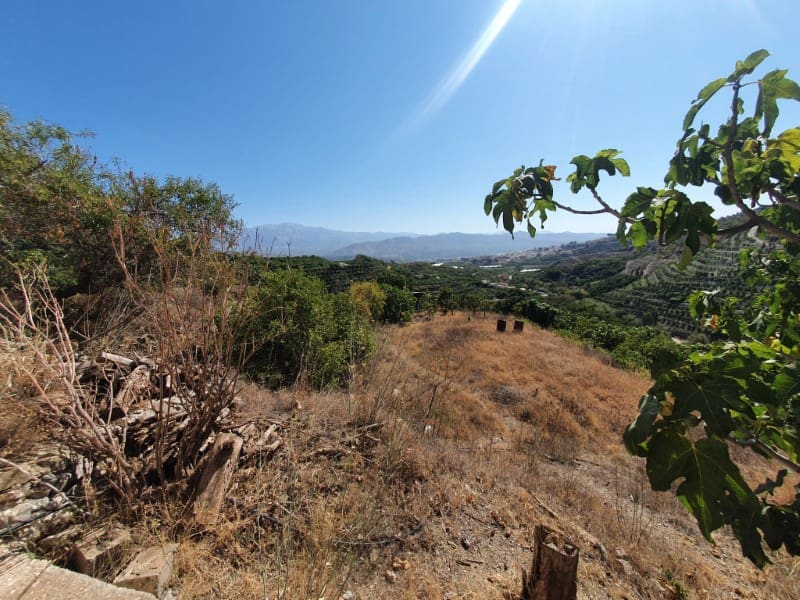 3 chambre Finca/Maison de Campagne à vendre à Iznate - 159 900 € (Ref: 7726790)