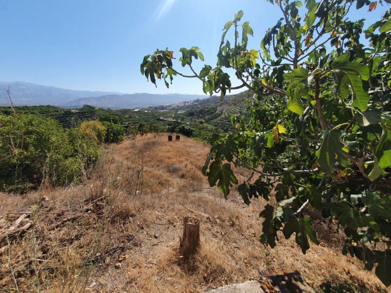 3 chambre Finca/Maison de Campagne à vendre à Iznate - 159 900 € (Ref: 7726790)
