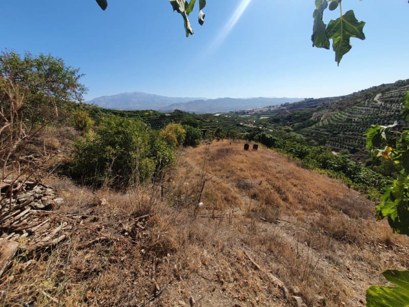 3 chambre Finca/Maison de Campagne à vendre à Iznate - 159 900 € (Ref: 7726790)