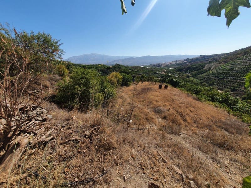 3 chambre Finca/Maison de Campagne à vendre à Iznate - 159 900 € (Ref: 7726790)