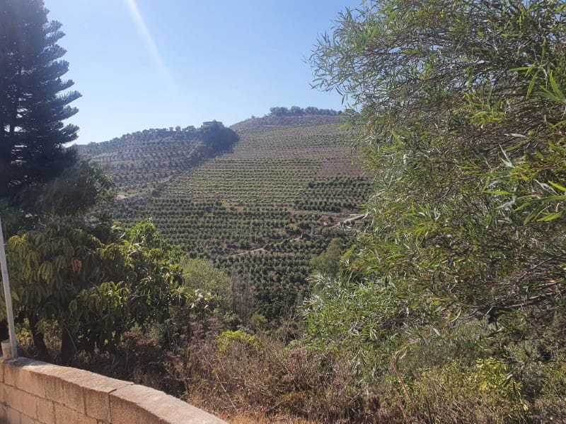 3 chambre Finca/Maison de Campagne à vendre à Iznate - 159 900 € (Ref: 7726790)