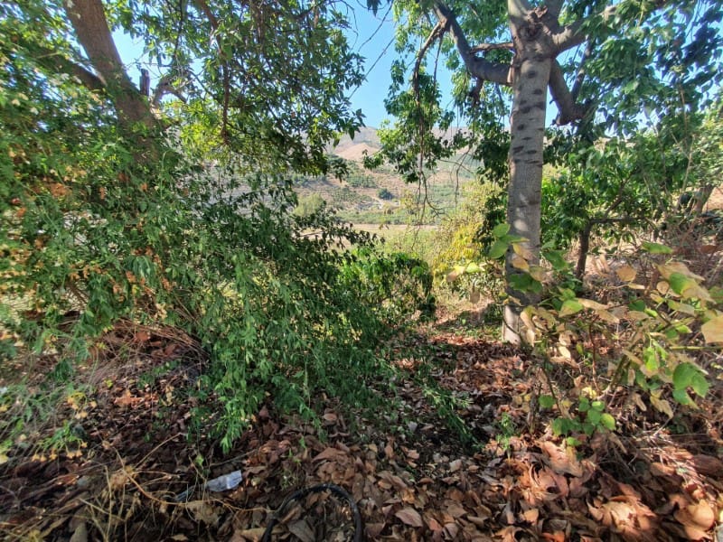 3 chambre Finca/Maison de Campagne à vendre à Iznate - 159 900 € (Ref: 7726790)