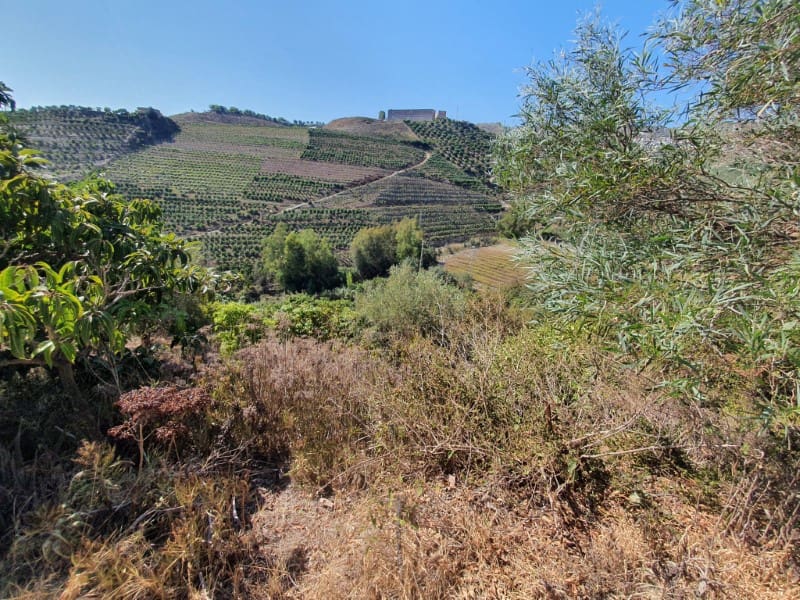 3 chambre Finca/Maison de Campagne à vendre à Iznate - 159 900 € (Ref: 7726790)