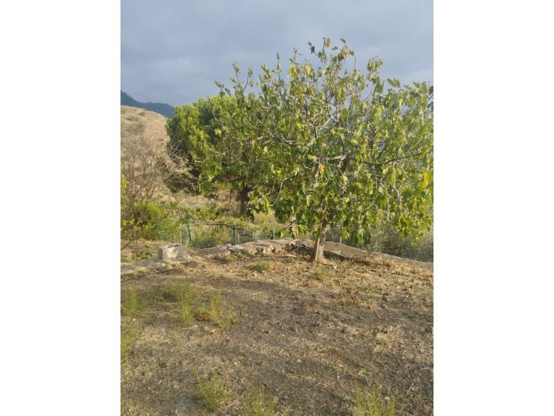 4 soveværelse Finca/Landehus til salg i Alcaucin med garage - € 250.000 (Ref: 7842410)