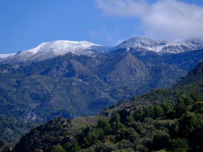 2 quarto Quinta/Casa Rural para arrendamento para férias em El Penoncillo com piscina - 1 250 € (Ref: 8044902)