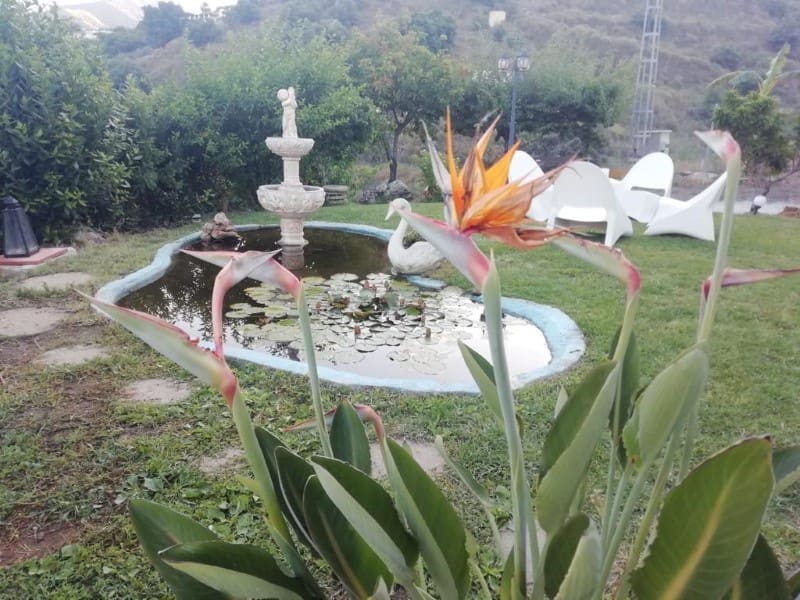 2 quarto Quinta/Casa Rural para arrendamento para férias em El Penoncillo com piscina - 1 250 € (Ref: 8044902)