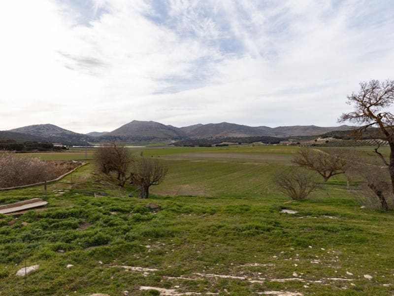 1 bedroom Finca/Country House for sale in Alhama de Granada - € 1,390,000 (Ref: 8318334)