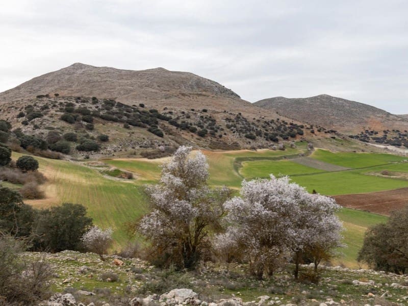 1 bedroom Finca/Country House for sale in Alhama de Granada - € 1,390,000 (Ref: 8318334)