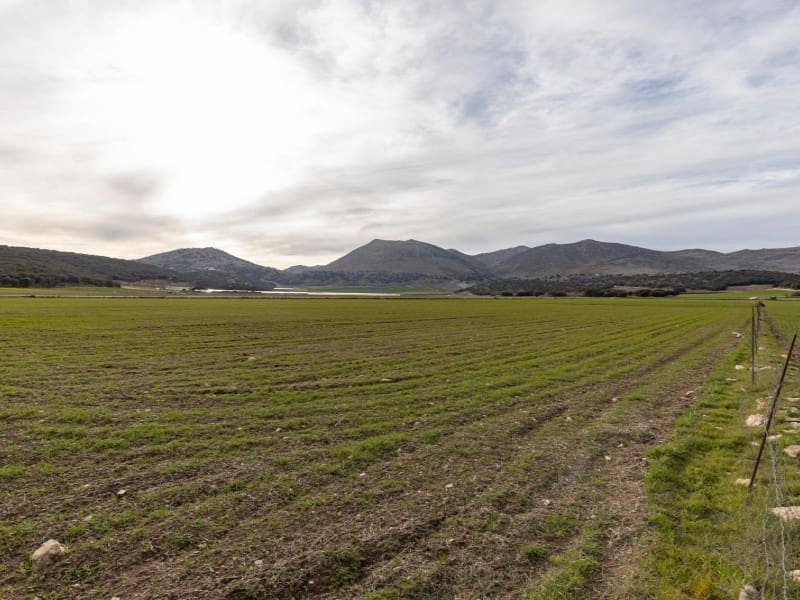 1 bedroom Finca/Country House for sale in Alhama de Granada - € 1,390,000 (Ref: 8318334)