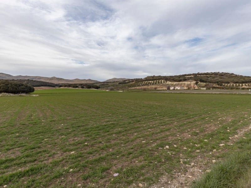 1 bedroom Finca/Country House for sale in Alhama de Granada - € 1,390,000 (Ref: 8318334)