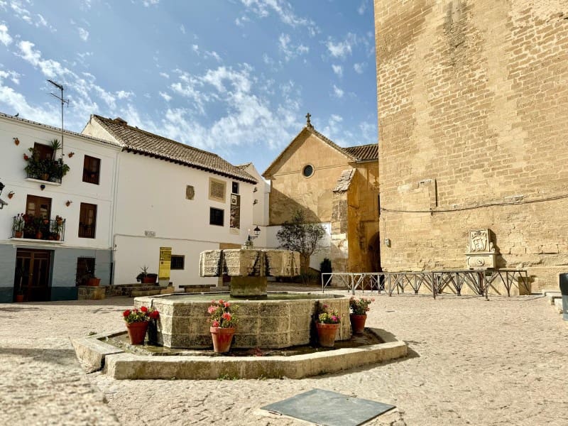 3 bedroom Townhouse for sale in Alhama de Granada - € 69,900 (Ref: 8532170)