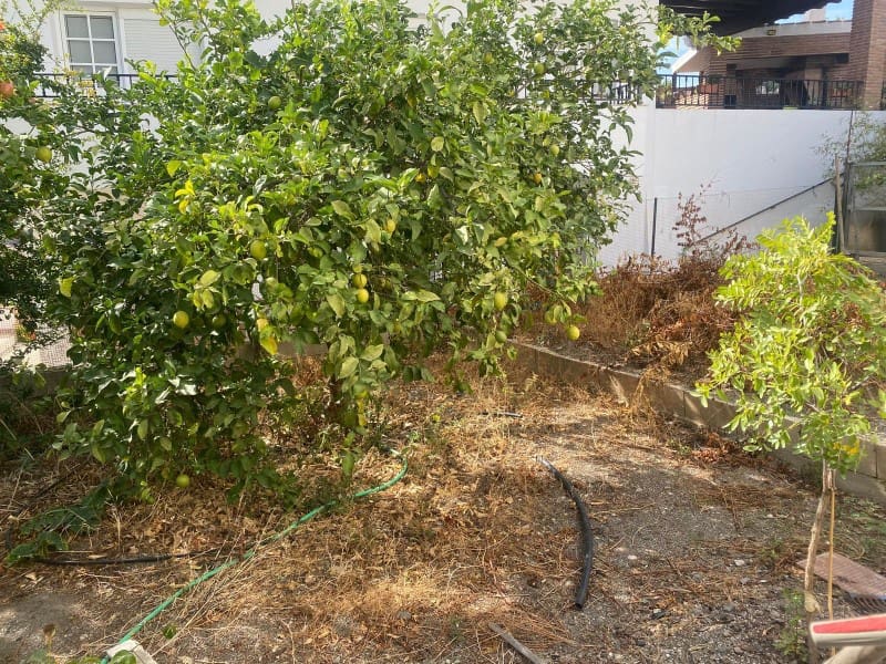 6 soveværelse Byhus til salg i Canillas de Aceituno med garage - € 133.000 (Ref: 8869958)