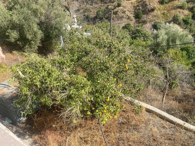 6 soveværelse Byhus til salg i Canillas de Aceituno med garage - € 133.000 (Ref: 8869958)