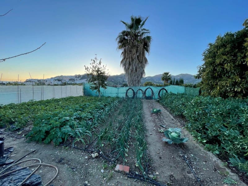 3 soveværelse Finca/Landehus til salg i Nerja med swimmingpool garage - € 549.000 (Ref: 8921587)