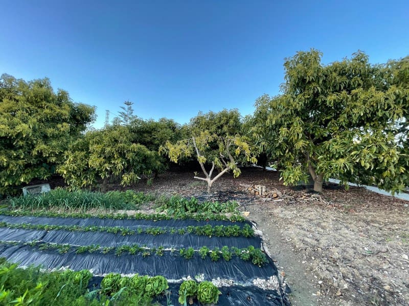 3 soveværelse Finca/Landehus til salg i Nerja med swimmingpool garage - € 549.000 (Ref: 8921587)