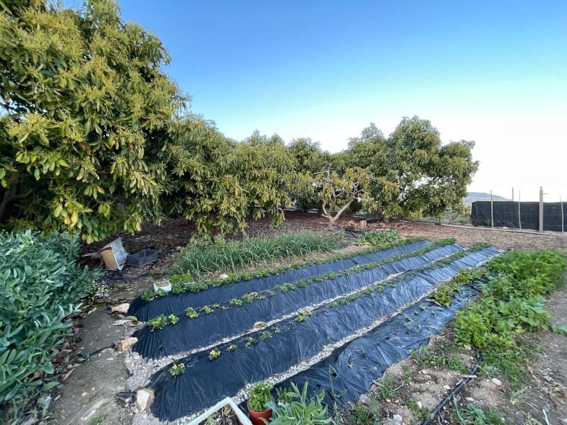 3 soveværelse Finca/Landehus til salg i Nerja med swimmingpool garage - € 549.000 (Ref: 8921587)