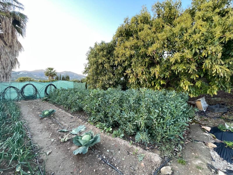 3 soveværelse Finca/Landehus til salg i Nerja med swimmingpool garage - € 549.000 (Ref: 8921587)