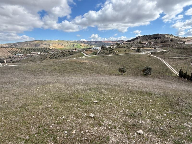 Undeveloped Land for sale in Alhama de Granada - € 29,000 (Ref: 8926874)