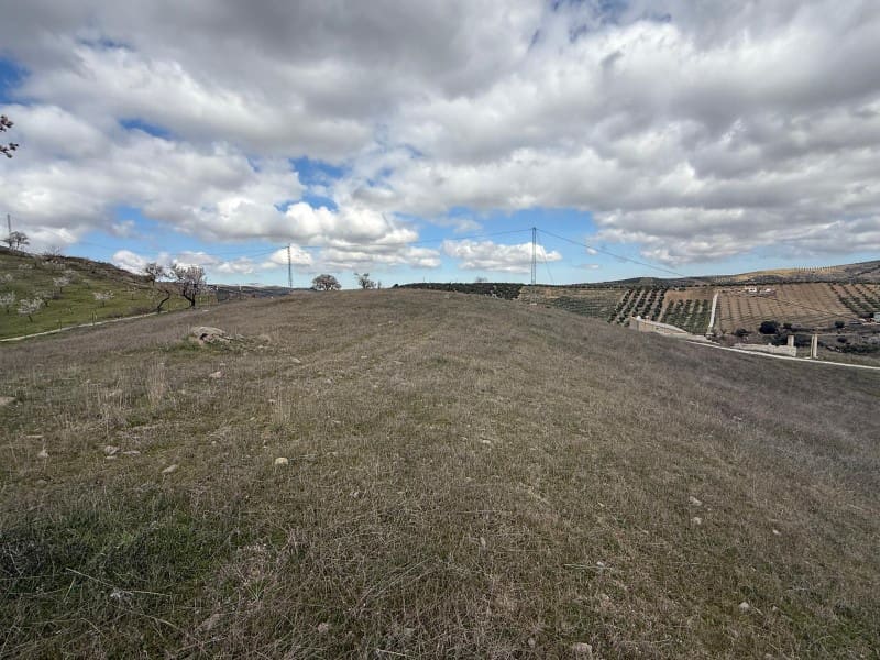 Undeveloped Land for sale in Alhama de Granada - € 29,000 (Ref: 8926874)