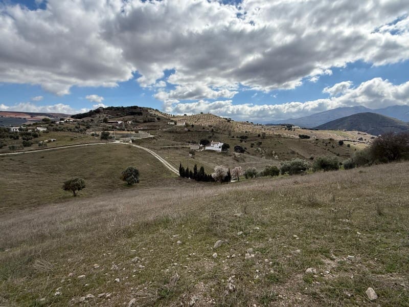 Undeveloped Land for sale in Alhama de Granada - € 29,000 (Ref: 8926874)