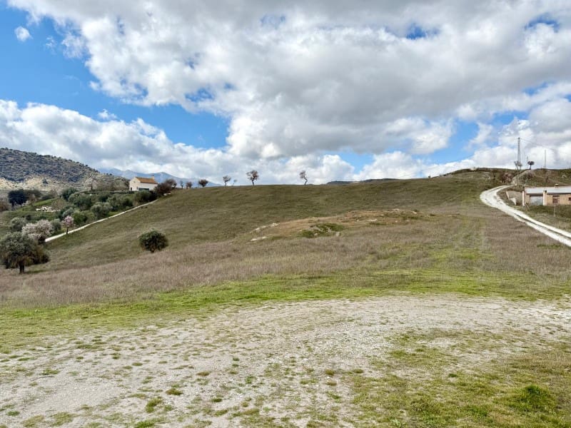 Undeveloped Land for sale in Alhama de Granada - € 29,000 (Ref: 8926874)