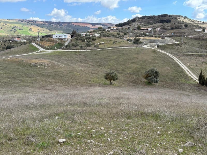 Undeveloped Land for sale in Alhama de Granada - € 29,000 (Ref: 8926874)