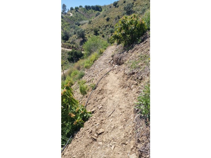 1 bedroom Finca/Country House for sale in Benamargosa - € 125,000 (Ref: 9174917)