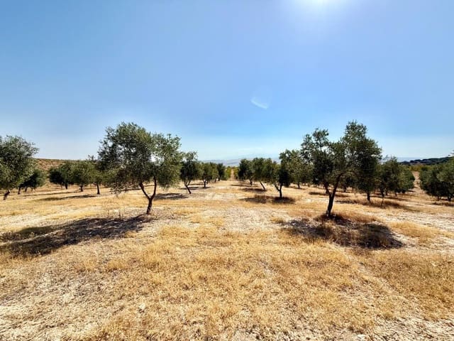 Finca/Casa di Campagna in vendita in Alhama de Granada - 250.000 € (Rif: 9303399)