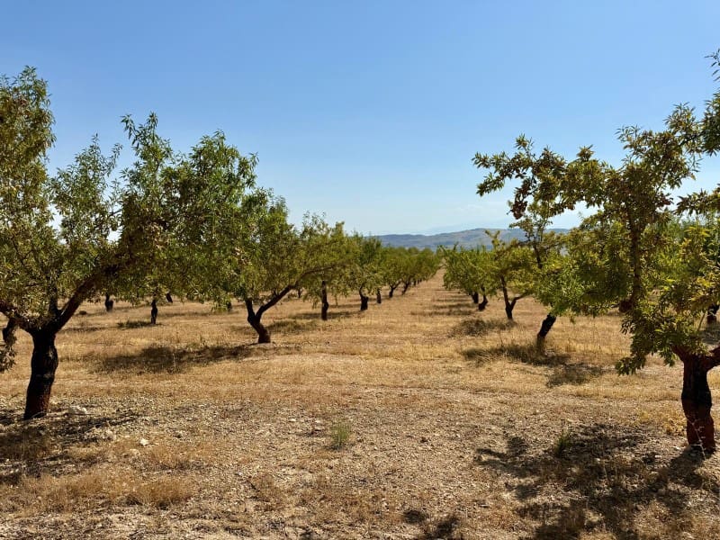 Finca/Casa di Campagna in vendita in Alhama de Granada - 250.000 € (Rif: 9303399)