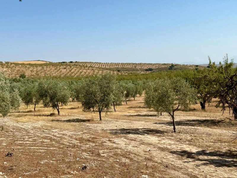 Finca/Casa di Campagna in vendita in Alhama de Granada - 250.000 € (Rif: 9303399)