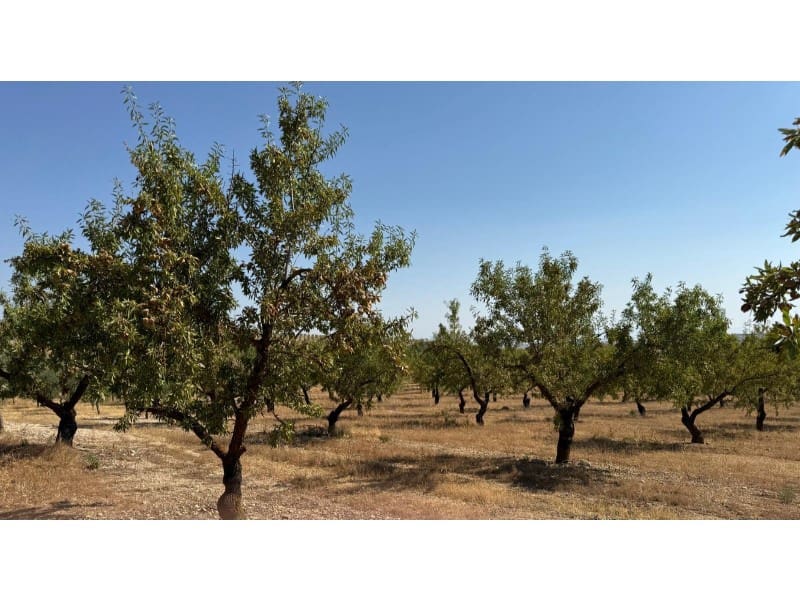 Finca/Casa di Campagna in vendita in Alhama de Granada - 250.000 € (Rif: 9303399)