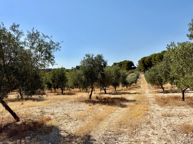 Finca/Casa di Campagna in vendita in Alhama de Granada - 250.000 € (Rif: 9303399)