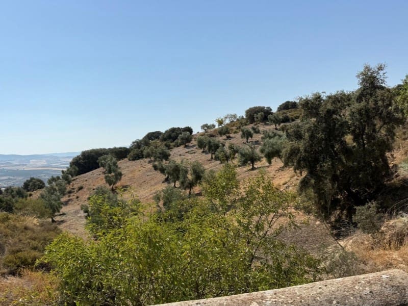 Finca/Casa di Campagna in vendita in Alhama de Granada - 250.000 € (Rif: 9303399)