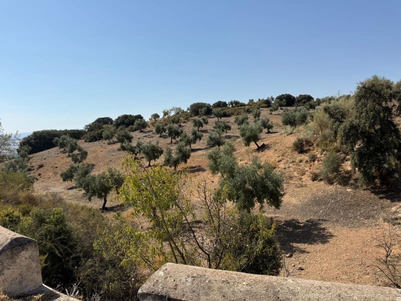 Finca/Casa di Campagna in vendita in Alhama de Granada - 250.000 € (Rif: 9303399)
