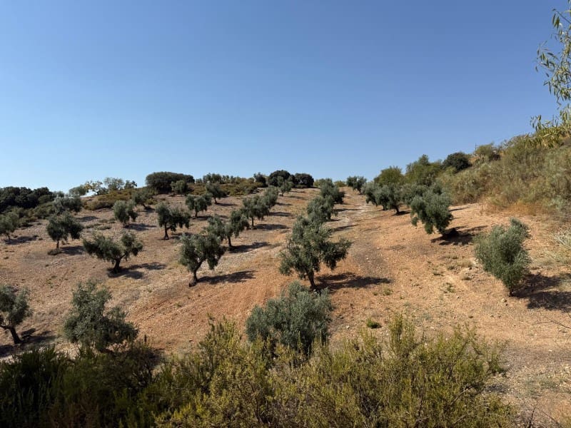 Finca/Casa di Campagna in vendita in Alhama de Granada - 250.000 € (Rif: 9303399)