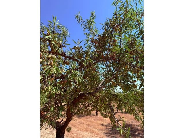 Finca/Casa di Campagna in vendita in Alhama de Granada - 250.000 € (Rif: 9303399)