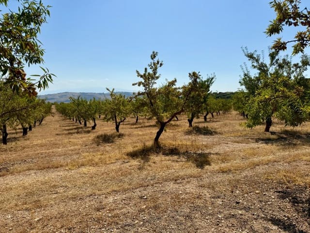 Finca/Casa di Campagna in vendita in Alhama de Granada - 250.000 € (Rif: 9303399)