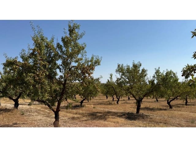 Finca/Casa di Campagna in vendita in Alhama de Granada - 250.000 € (Rif: 9303399)