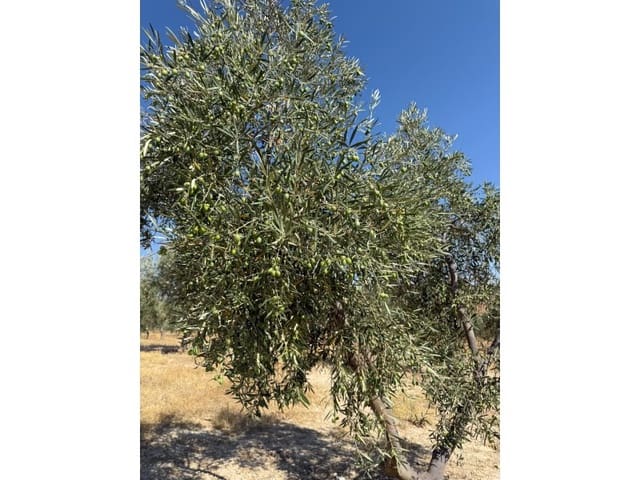 Finca/Casa di Campagna in vendita in Alhama de Granada - 250.000 € (Rif: 9303399)