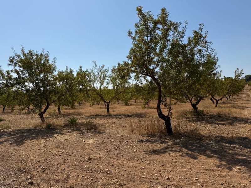 Finca/Casa di Campagna in vendita in Alhama de Granada - 250.000 € (Rif: 9303399)