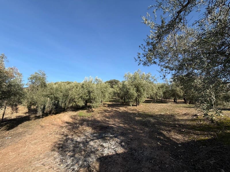 2 camera da letto Finca/Casa di Campagna in vendita in Riogordo - 189.000 € (Rif: 9534011)